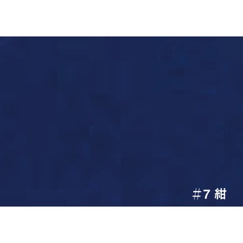 注文コード:08001255 T ネオカラー ターナー色彩
