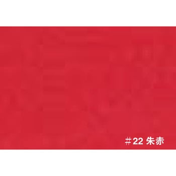 注文コード:08001298 T ネオカラー ターナー色彩