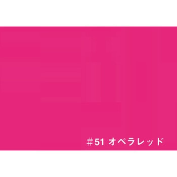 注文コード:08001316 T ネオカラー ターナー色彩