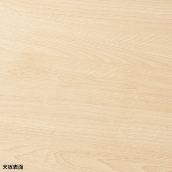 注文コード:12279840 テーブル_eシリーズ サンワサプライ