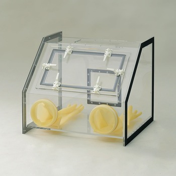 注文コード:13604075 グロブロックス アズワン