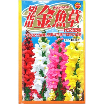 【タネ】切花用金魚草 一代交配種 アタリヤ農園