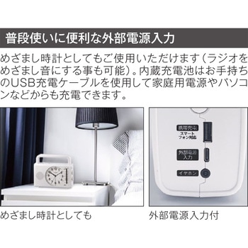 注文コード:14180245 防災クロック シチズン