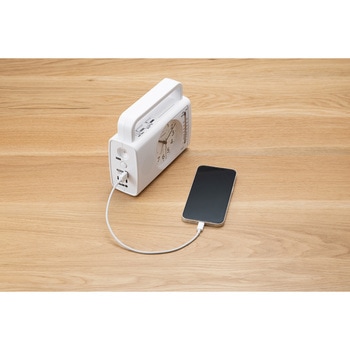 注文コード:14180245 防災クロック シチズン