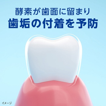 注文コード:15123005 クリニカPRO plus 歯周バリア 薬用ハミガキ ナチュラルグリーンミント - LION(ライオン)
