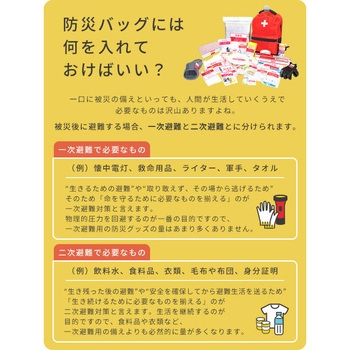注文コード:15613495,18794004,40723927,57259180 防災セット(災害対策30点セット) 防災士監修 防災バッグ - YAMAZEN(山善)