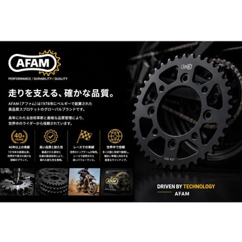注文コード:16538195 フロントスプロケット 520-15 - AFAM(アファム)