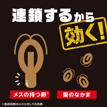 注文コード:21820618,40147825 ブラックキャップ - アース製薬
