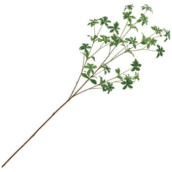 注文コード:16881186 アセビ枝 大 MAGIQ(東京堂)