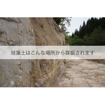 注文コード:17396569 FINISH ONE 珪藻土 缶 ワンウィル