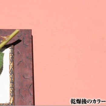 注文コード:17396718 Kペイント ワンウィル