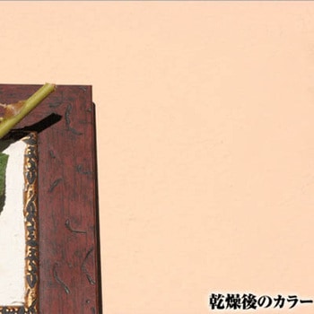 注文コード:17396736 Kペイント ワンウィル