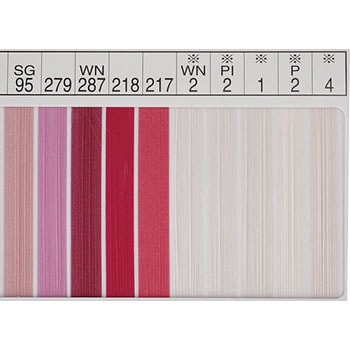 注文コード:17549498,17549507,17549516,17549525,17549534,17549543,17549552,17549568,17549577,17549586,17552684,17552693,17552702,17552718,17552727,17552736,17552745,17552754,17552763,17552772 キングウーリーナイロンミシン糸 フジックス(縫製用品)