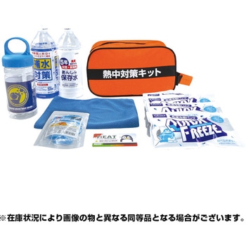 熱中対策キット ブレイン