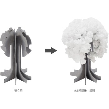 注文コード:18335409 工作キット「樹氷」 樹氷