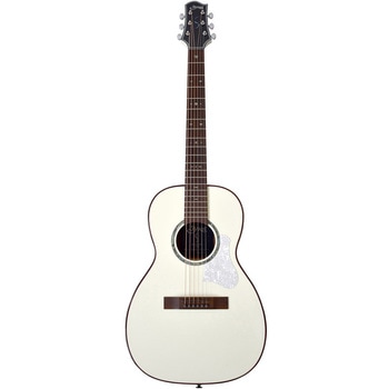 注文コード:18762059 アコースティックギター S.Yairi