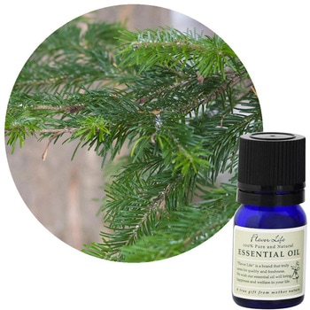 注文コード:19140120 フレーバーライフ 精油 トドマツ 3mL フレーバーライフ