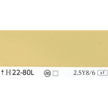 注文コード:24998408 指定色ラッカースプレー 丸吹き サンデーペイント
