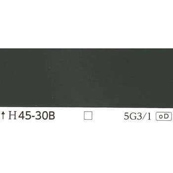 注文コード:24999695 指定色ラッカースプレー 丸吹き サンデーペイント