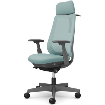 注文コード:26243439 ポータムシリーズ/可動肘/背メッシュ/EXスタンダードタイプ/ダークグレーボディ/ハンガー有/ランバー無/ナイロンキャスター オカムラ(岡村製作所)