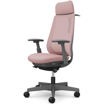 注文コード:26243448 ポータムシリーズ/可動肘/背メッシュ/EXスタンダードタイプ/ダークグレーボディ/ハンガー有/ランバー無/ナイロンキャスター オカムラ(岡村製作所)