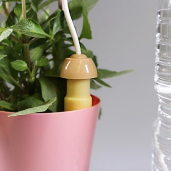 注文コード:26339147 水やり当番 マルハチ産業