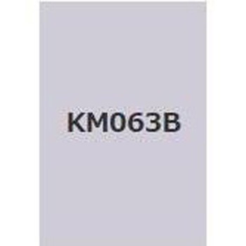 注文コード:38362418,38374467 キクスイSPパワー無機ガードF 菊水化学工業