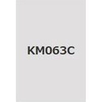 注文コード:38362427,38374476 キクスイSPパワー無機ガードF 菊水化学工業