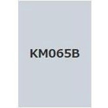 注文コード:38362488,38374537 キクスイSPパワー無機ガードF 菊水化学工業