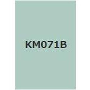 注文コード:38362741,38374790 キクスイSPパワー無機ガードF 菊水化学工業