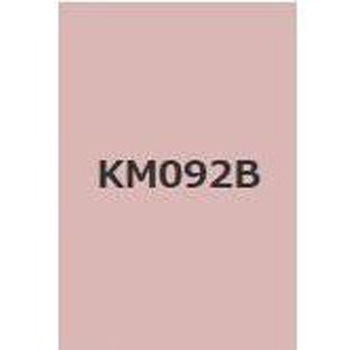 注文コード:38363468,38375517 キクスイSPパワー無機ガードF 菊水化学工業