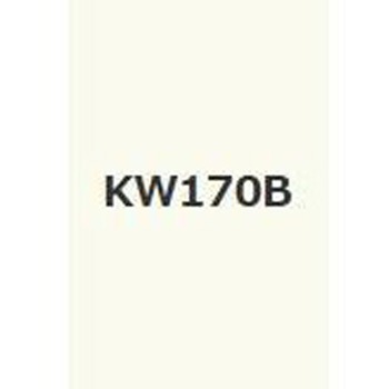 注文コード:38365988,38378037 キクスイSPパワー無機ガードF 菊水化学工業