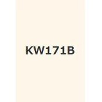 注文コード:38366031,38378080 キクスイSPパワー無機ガードF 菊水化学工業