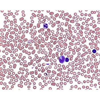 注文コード:38575943 バッファータブレット pH6.8 血液像用リン酸緩衝液調製用 1錠/1L : 100錠入り 111374 100Tabs Merck(メルクミリポア)