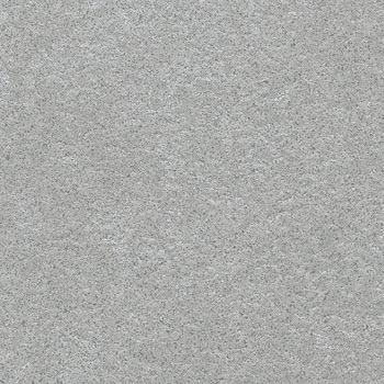 注文コード:43289270 エルワイタイル カラー プリエ リリカラ