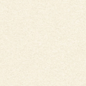 注文コード:43289288 エルワイタイル カラー プリエ リリカラ