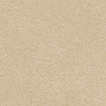 注文コード:43289297 エルワイタイル カラー プリエ リリカラ