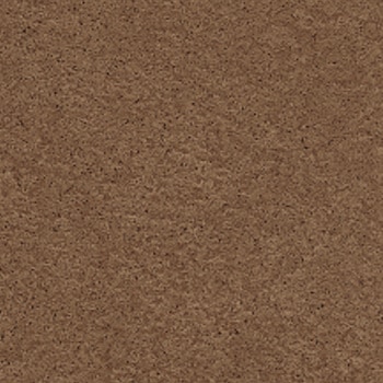 注文コード:43289306 エルワイタイル カラー プリエ リリカラ