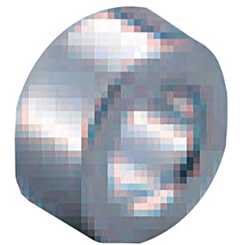 注文コード:44955725 パネルホルダー CLOVER(クローバ)