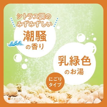 注文コード:89837027,45154219 きき湯 食塩炭酸湯 - バスクリン