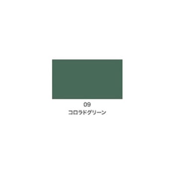 注文コード:51079728 クリエイティブカラースプレー アサヒペン