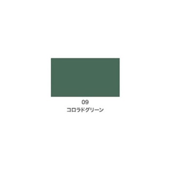 注文コード:51080279 クリエイティブカラースプレー アサヒペン