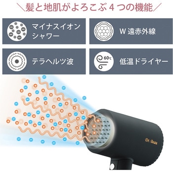 注文コード:52136019 KAZE nice Dryer Premium(カゼナイスドライヤープレミアム) カロスビューティ