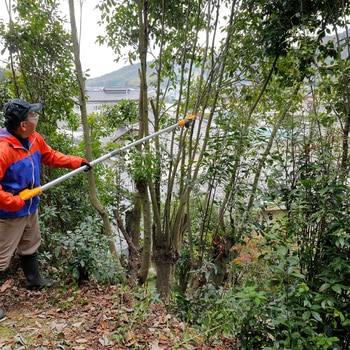 注文コード:52316268 18V充電式ポールチェンソー 京セラインダストリアルツールズ(旧:リョービ)