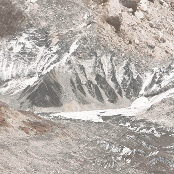 注文コード:53764324 フロアタイル エグザ・アクティブスタイル フィッツロイ 川島織物セルコン