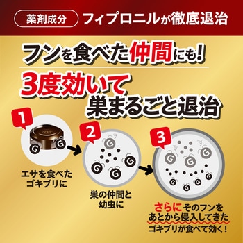 注文コード:55121185 ゴキファイタープロ - フマキラー