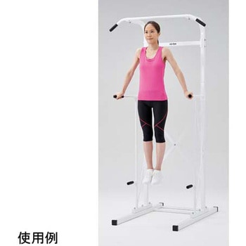 注文コード:56844071 チンニング&ディップスタンド VerⅡ 淡野製作所