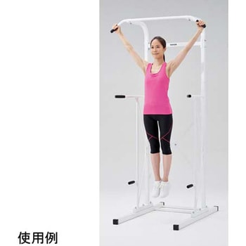 注文コード:56844071 チンニング&ディップスタンド VerⅡ 淡野製作所