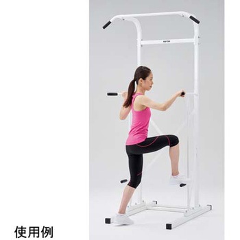 注文コード:56844071 チンニング&ディップスタンド VerⅡ 淡野製作所