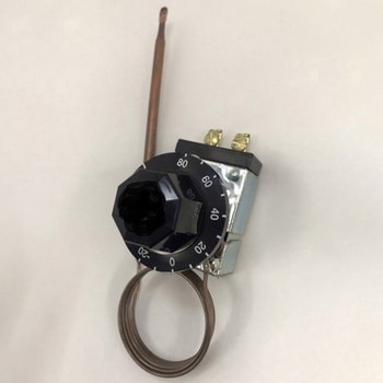 注文コード:58676138 サーモスタット ロバートショウ